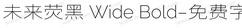 未来荧黑 Wide Bold字体转换